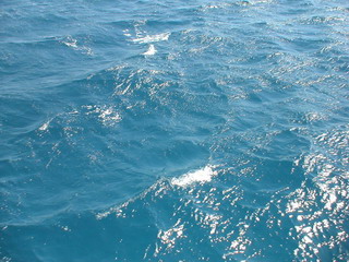 Красное Море(1).jpg
