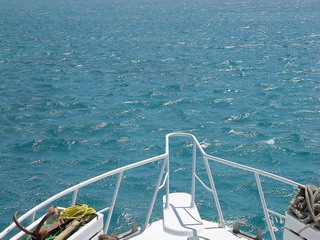 Красное море (4).jpg
